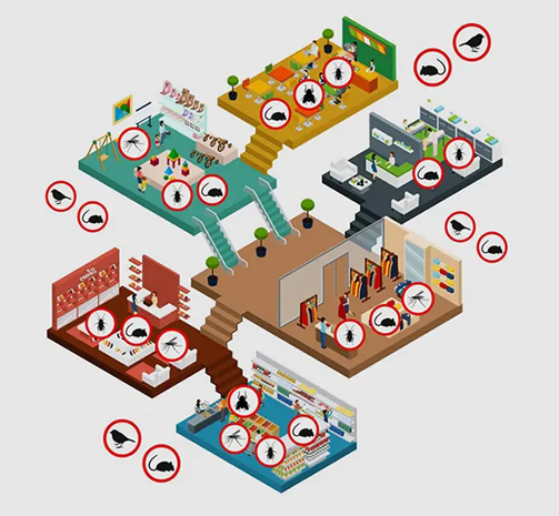 Pest Control Services